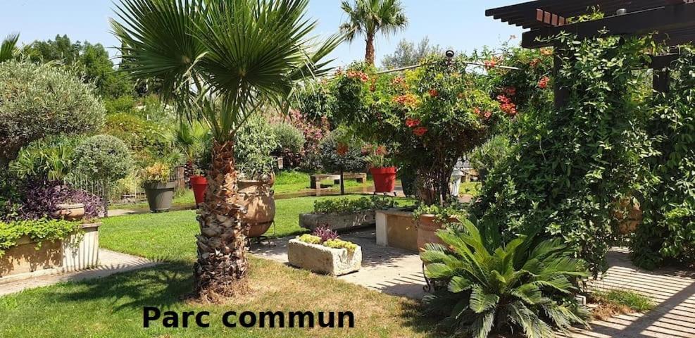 Mas La Farelle Gite, Fitness & Salle De Jeux Gratuite & Spa En Supplement Nimes Exterior foto